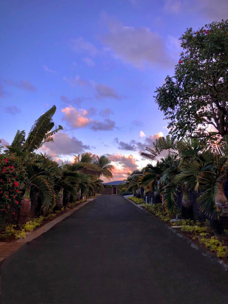Sumptuous villa for sale in Vieux Grand Port — image 4