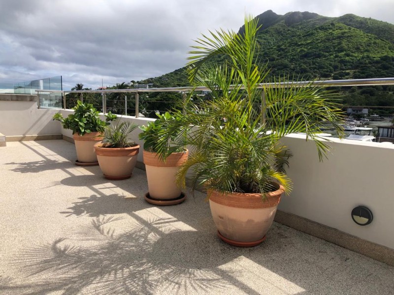 Mauritius Luxury Five-Bedroom Villa for Sale | Black River Marina — image 11