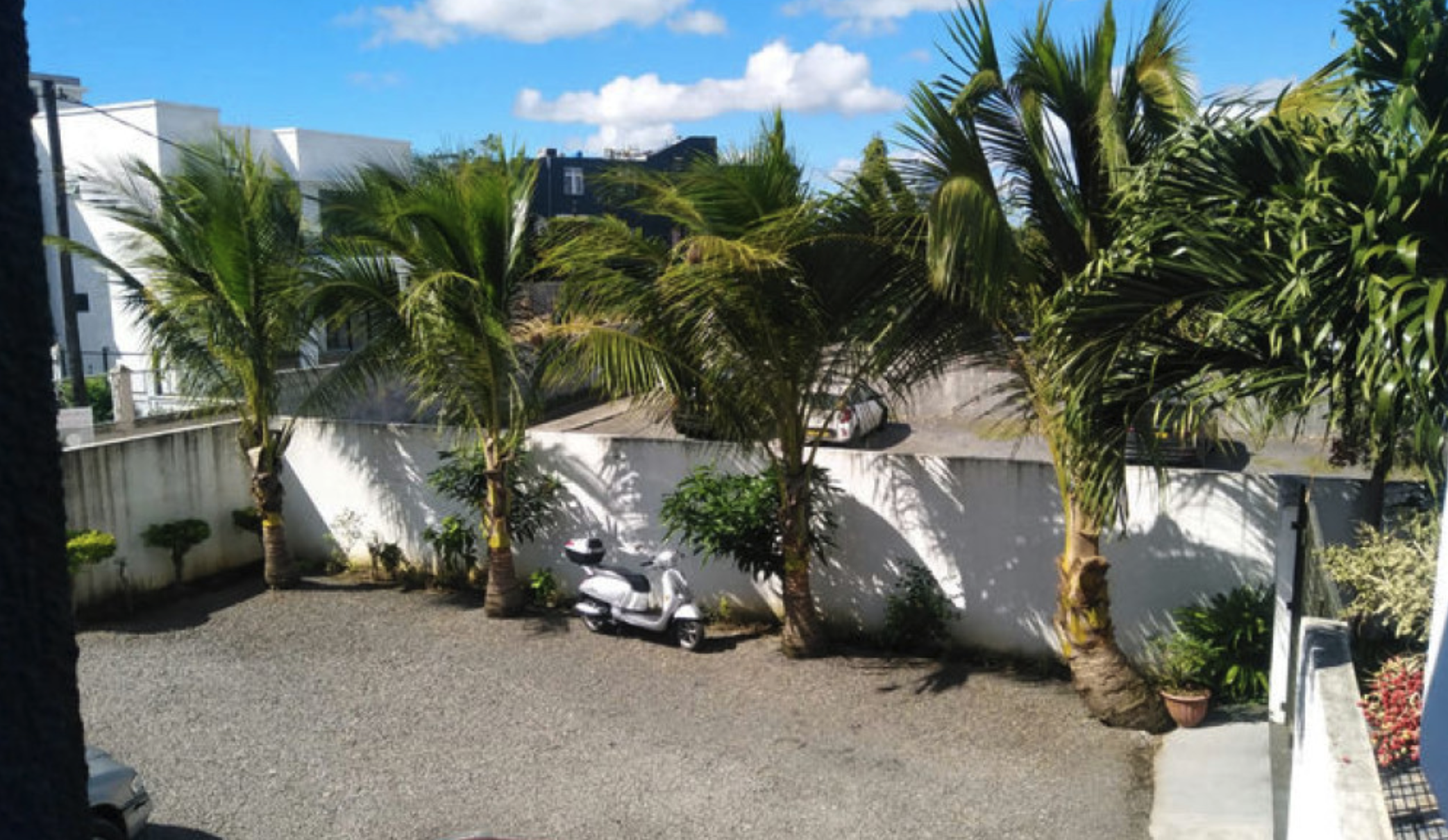 COMMERCIAL OFFICE SPACE FOR RENT — image 4