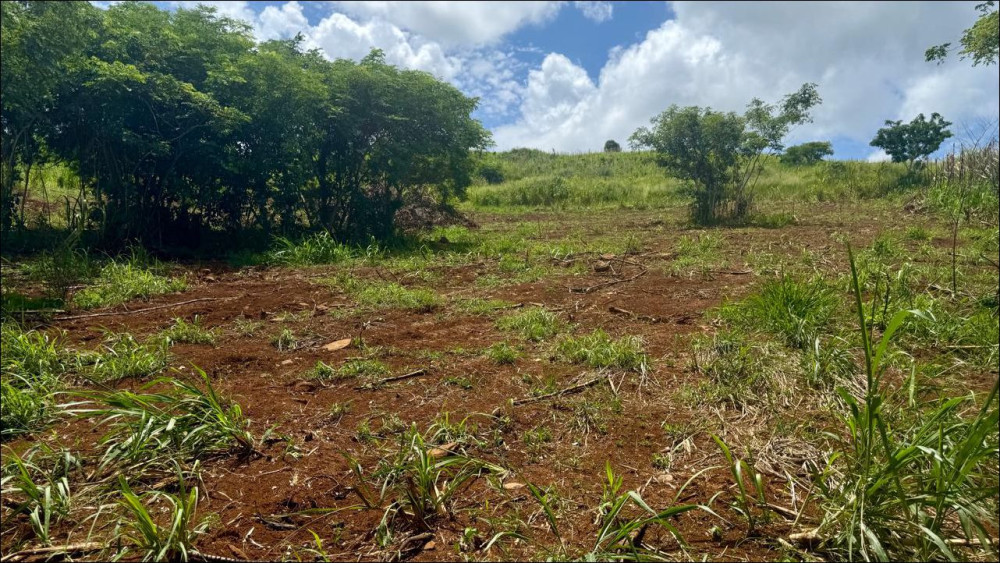 AGRICULTURAL LAND FOR SALE IN BAIE DU CAP – MORCELLEMENT FLEUR DE CANNES — image 3