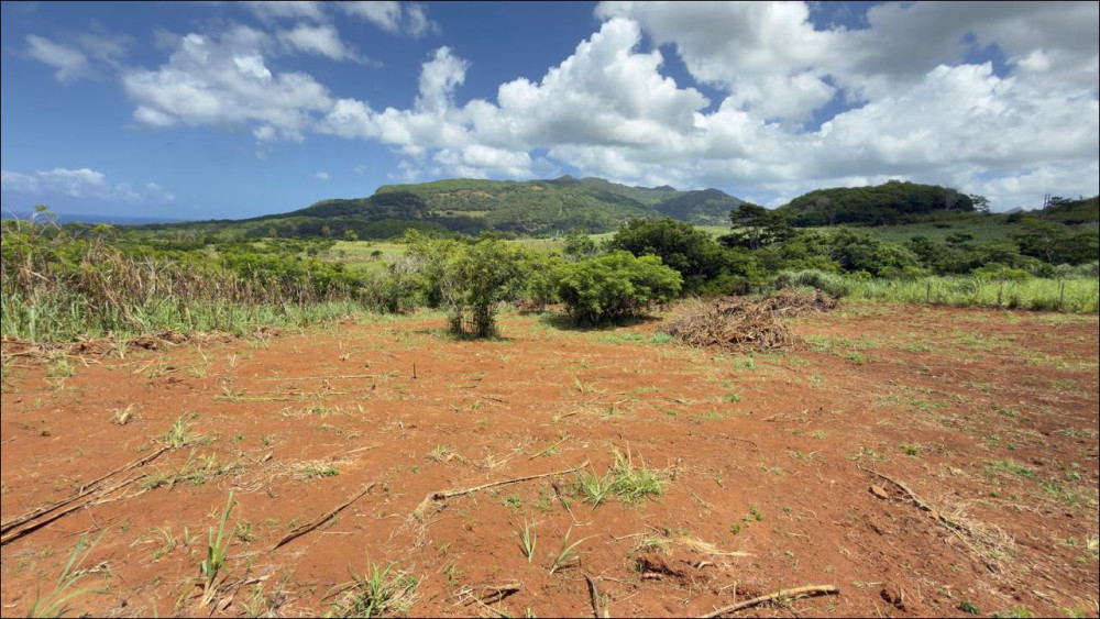 AGRICULTURAL LAND FOR SALE IN BAIE DU CAP – MORCELLEMENT FLEUR DE CANNES