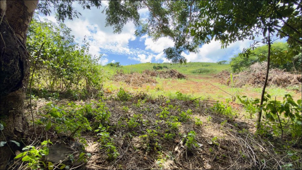 AGRICULTURAL LAND FOR SALE IN BAIE DU CAP – MORCELLEMENT FLEUR DE CANNES — image 4