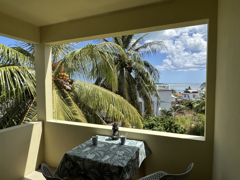 Studio Units with Mountain & Sea Views – For Sale — image 3
