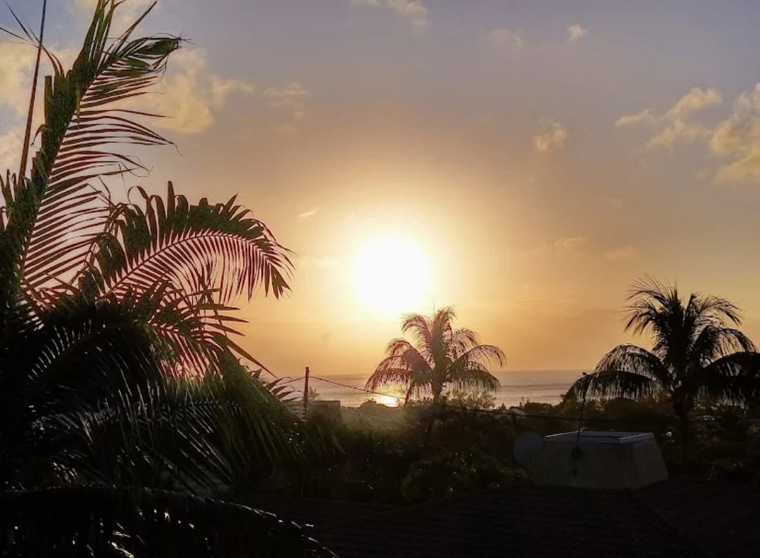 Estate Villa with Airbnb Guest Suites, Squash Courts & Sea Views - For sale - Tamarin — image 15