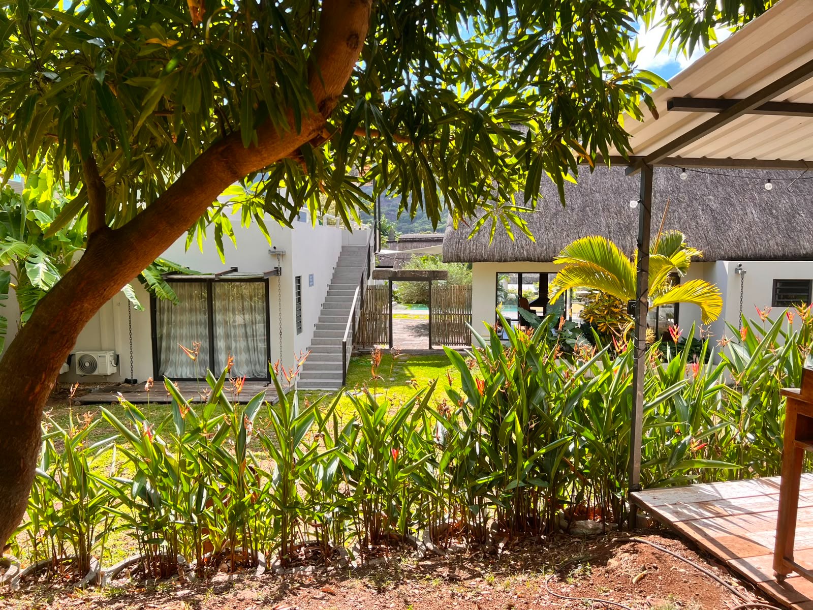 Black River | Elegant 3-Bedroom Villa with Private Guest Cottage & Pool — image 7