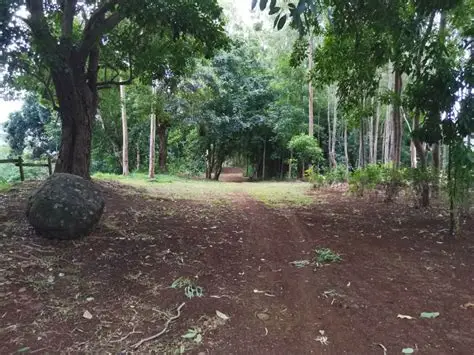DEVELOPER OPPORTUNITY – ENTIRE TOWNHOUSE PROJECT FOR SALE IN Ebène — image 2