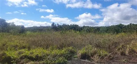 Agricultural Land for Sale in Mare Longue