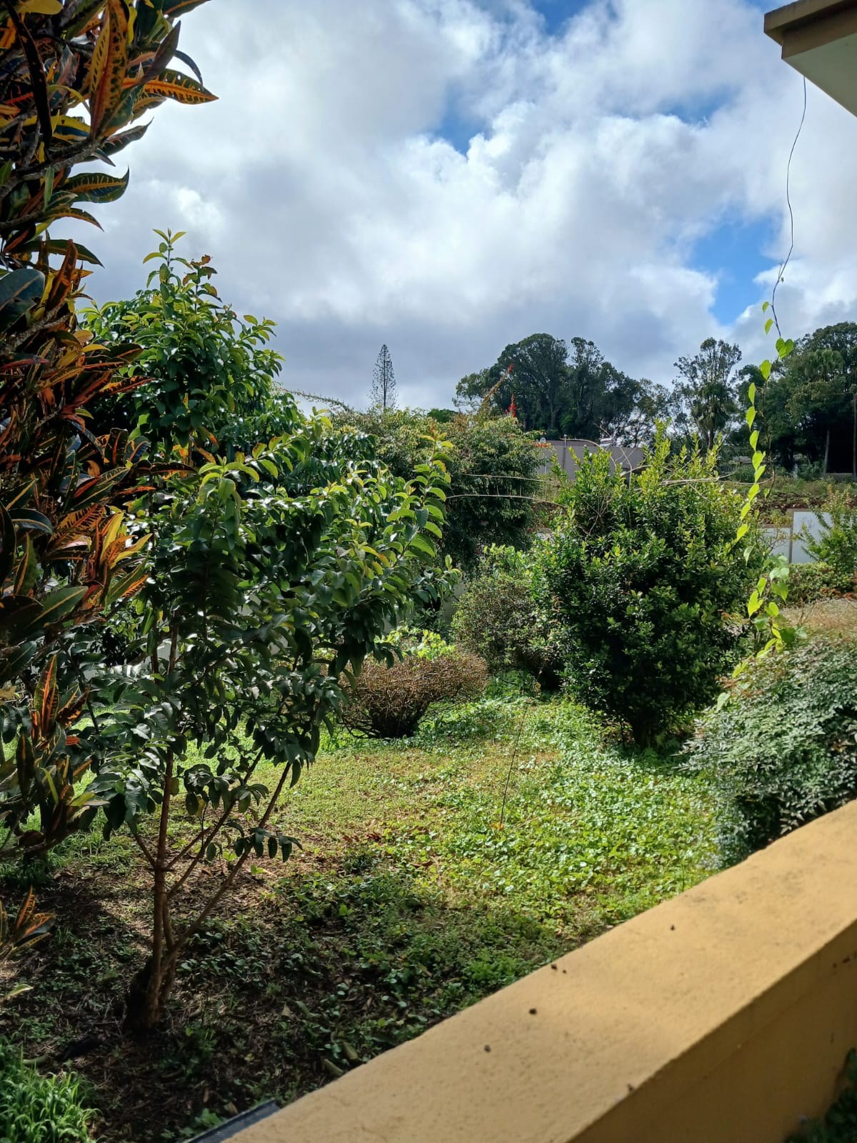 Curepipe House - A Cultural Sanctuary with Garden Views — image 4