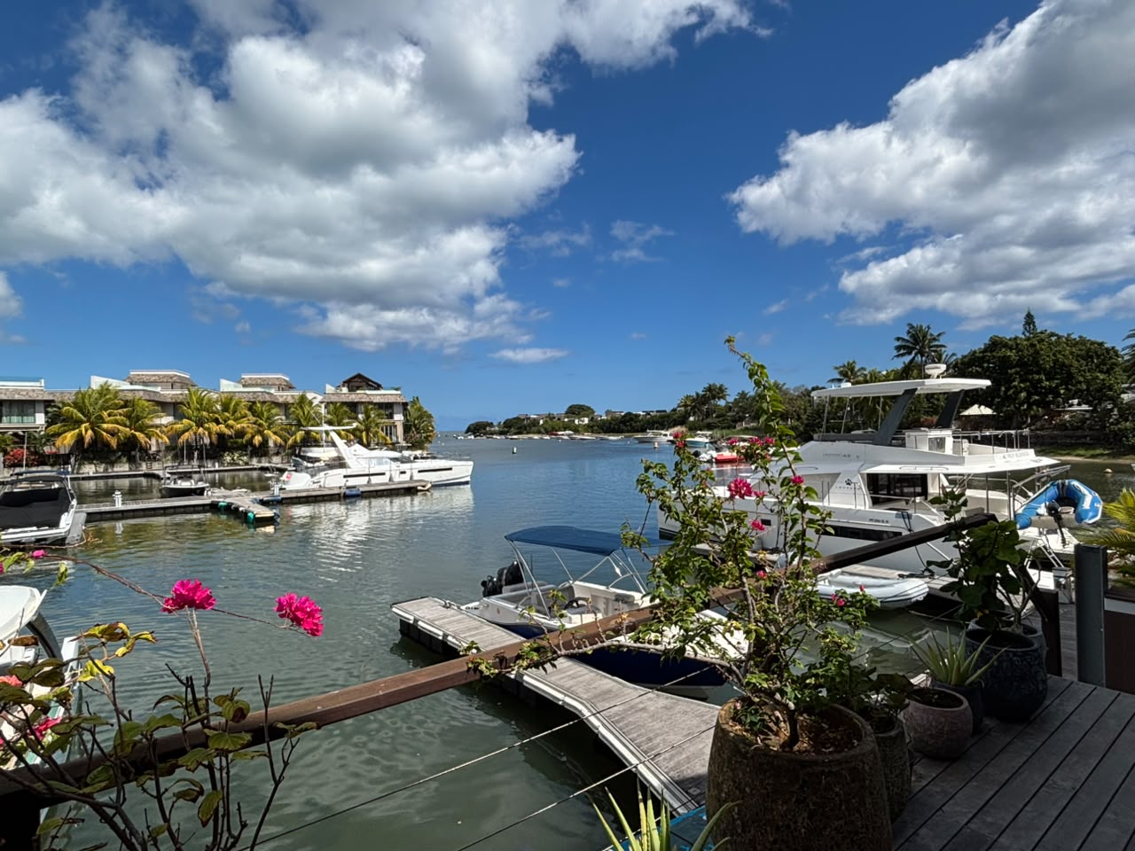 Exceptional Marina Residence – Luxury Waterfront Living in Black River — image 4